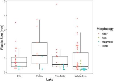 Variability in the drivers of microplastic consumption by fish across four lake ecosystems